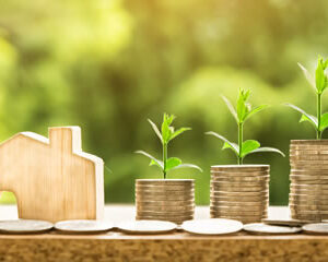 Tax Sale Strategies